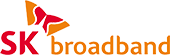 sk broadband